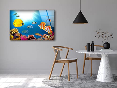 Myphotostation Coral Reef Wall Art Tempered Glass Wall Art 16x16'' Fish at Aquarium Wall Art Modern Decor Glass Printing Large Wall Art Tempered Glass Panel Under Sea Wall Art Sea Life Wall Art - size: 16x16'' - (40x40 cm)