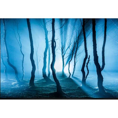 ELEBOX Fish Backgrounds Paper Double Sides 3D Stone & Trees Aquarium Background Picture 12" x 32" Fish Tank Background - color: N, size: H:11.8"x L:32.3"