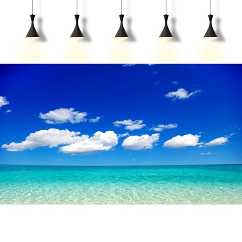 Ocean Sea Fish Tank Background Tropical Paradise Ocean Aquarium Background Sunny Seascape Terrarium Backgrounds Sunny Blue Sky Cloudy Seacoast Sandbeach Sea Waves Reptile Tank Backgrounds 24x16in - color: Aqua Blue, size: 24(W)x16(H)inches/ 60(W)*40cm(H)