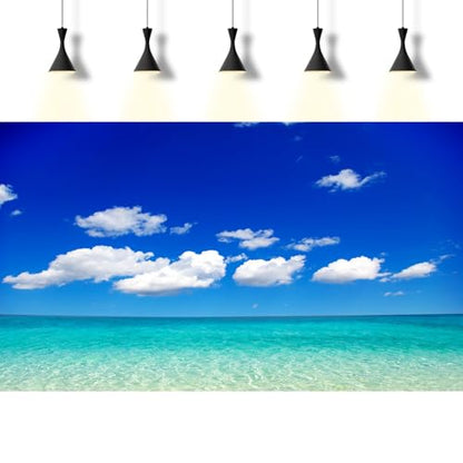 Ocean Sea Fish Tank Background Tropical Paradise Ocean Aquarium Background Sunny Seascape Terrarium Backgrounds Sunny Blue Sky Cloudy Seacoast Sandbeach Sea Waves Reptile Tank Backgrounds 24x16in - color: Aqua Blue, size: 24(W)x16(H)inches/ 60(W)*40cm(H)