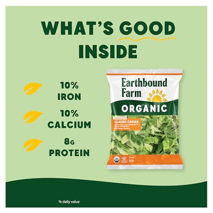 Earthbound Farm Organic Classic Caesar Salad Kit 7.8oz