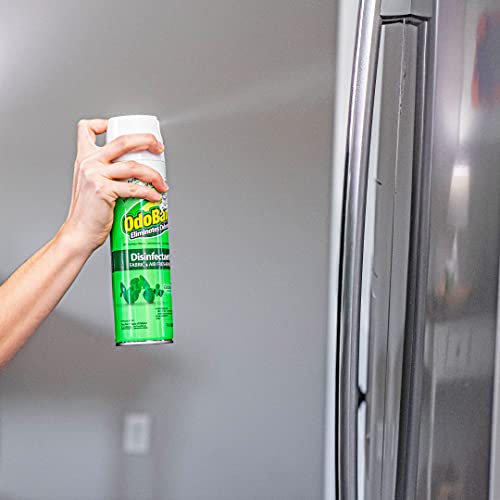 OdoBan Ready-to-Use 360-Degree Continuous Spray Disinfectant & Harsh Aroma Eliminator, Fabric and Air Freshener, Made in the USA, Original Eucalyptus Scent, 14.6 Ounces - size: 14.6 Fl Oz (Pack of 1)