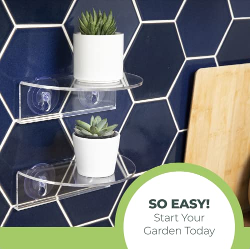 Window Garden Veg Ledge Suction Cup Window Shelf – Create an Indoor Garden, Hold Your Planter Pots, Seed Starter, Figurines on Your Window. Grow Herbs, Microgreens, Succulents, Sleek (2 Pack) - size: 2 Medium (Original)