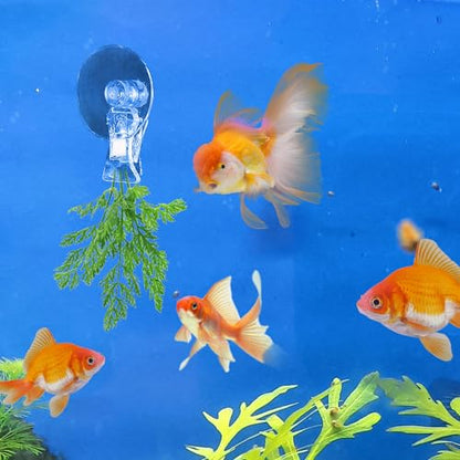 AccEncyc 12Pcs Veggie Clips Aquarium Seaweed Clips Fish Food Holder Wide Mouth Clips Plants Suction Cups Algae Clips for Freshwater and Marine Fish Tank (Plastic) - size: Plastic