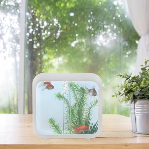 Plastic Aquarium Miniature Kits Small Aquarium Mini Fish Tank Small with LED Lighting Fish Landscape Box Desktop Decoration LED Creative - color: White