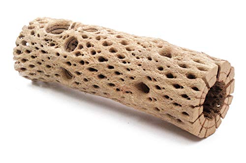 3, 6, 9, 12 Inch All Natural Teddy Bear Cholla Wood Extra Hollow Untreated Organic Aquarium Driftwood Decoration Chew Toy Shrimp Crab Cichlid Nano Tank Birds 1 or 5 Pieces (1 Piece, 9 inch) - size: 1 Piece, 9 inch