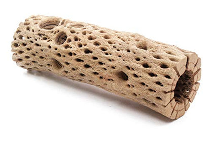 3, 6, 9, 12 Inch All Natural Teddy Bear Cholla Wood Extra Hollow Untreated Organic Aquarium Driftwood Decoration Chew Toy Shrimp Crab Cichlid Nano Tank Birds 1 or 5 Pieces (1 Piece, 9 inch) - size: 1 Piece, 9 inch