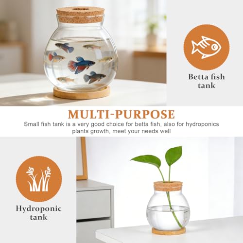 POPETPOP Desktop Glass Fish Bowl - Round Small Fish Tank | with Wood Stopper & Bamboo Mat, Clear Glass Betta Fish Bowl for Succulent Plants, Hydroponic Air Plant (5.5X5.1 Inch)