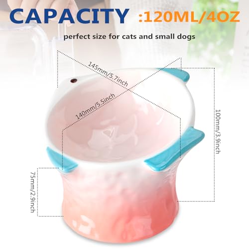Tioncy 2 Pcs Raised Tilted Ceramic Cat Food Bowl Fish Shape Cute Elevated Slanted Shallow Angled Cat Dish Non Slip Feeder Bowl for Anti-Vomiting and Whisker Fatigue(Green, Pink) - color: Green, Pink
