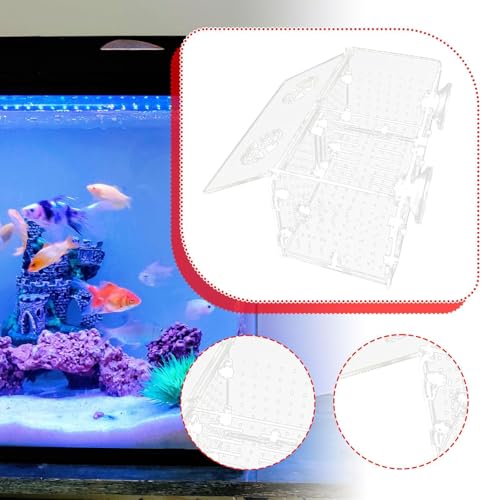 Breeding Box for Aquarium Acclimation Hatchery Acrylic Clear Sick Box Breeder for Clown Betta, Double Room
