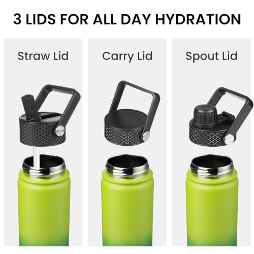 Konokyo 32 oz Insulated Water Bottle Stainless Steel Sport Bottles with 3 Lids,Bamboo Grove - color: Bamboo Grove, size: 32 Ounces