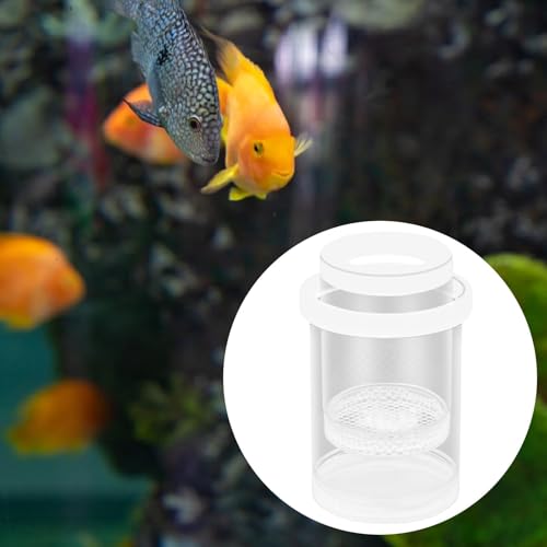 Fish Hatchery, Fish Isolation Box, Separation, White - color: White
