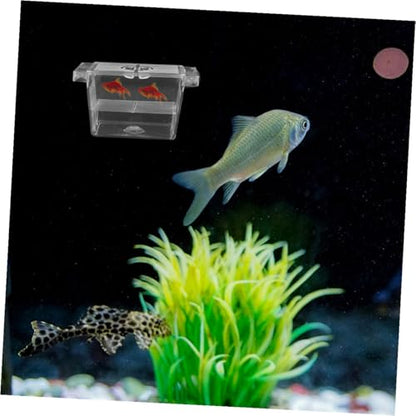 DOITOOL 4pcs Fish Fry Breeding Box Double-Layer Self-Floating Plastic Incubator Aquarium Separator for Betta and Fry Nursery Tank Habitat
