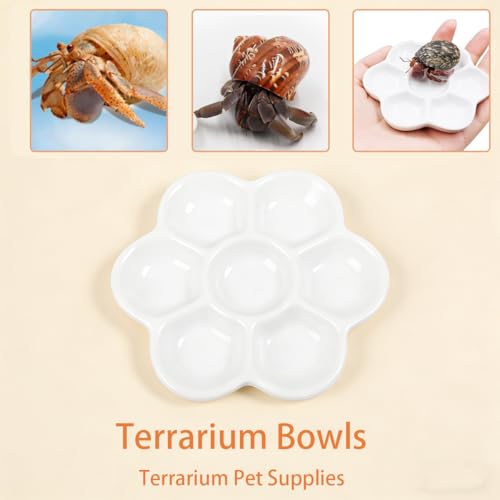 2 Pack Terrarium Bowls, Hermit Crab Water Dishes & Water Bowl Ceramic Hermit Crab Accessories, Anti-Turning Bowl for Feeding & Hydration, Terrarium Pet Supplies