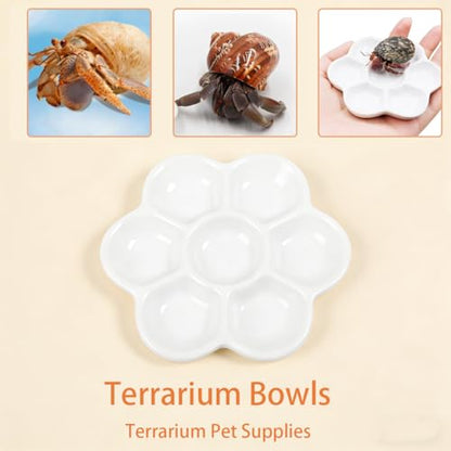 2 Pack Terrarium Bowls, Hermit Crab Water Dishes & Water Bowl Ceramic Hermit Crab Accessories, Anti-Turning Bowl for Feeding & Hydration, Terrarium Pet Supplies
