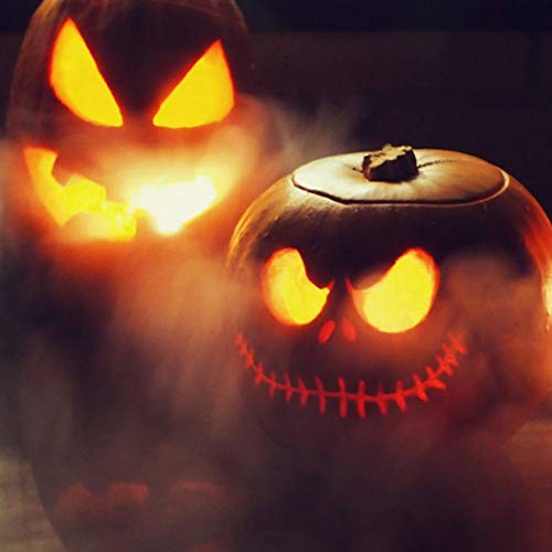 PULACO Mist Maker Fogger with Splash Guard for Halloween