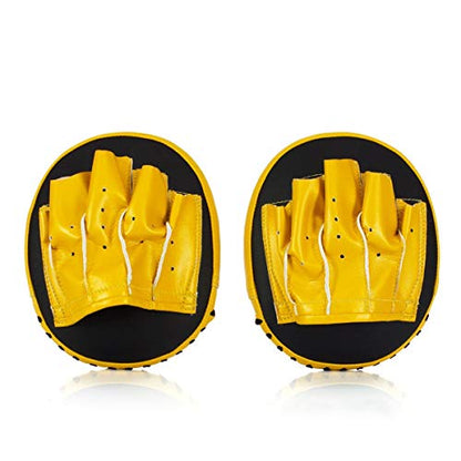Fairtex FMV15 Focus Mitts, Muay Thai Boxing Precision Punching Target Pads - color: Black/Gold