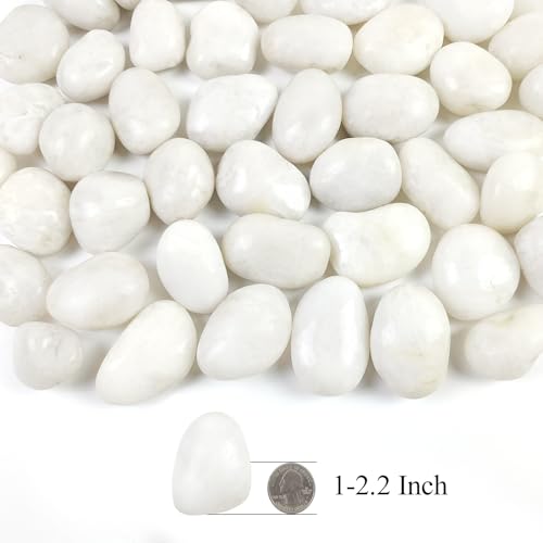 5LB Polished White River Rocks for Plants,1-2.2 Inch Polished Pebbles for Garden Decoration Stones for Landscaping Aquarium Fish Tank Succulents - size: 5LB, style: White