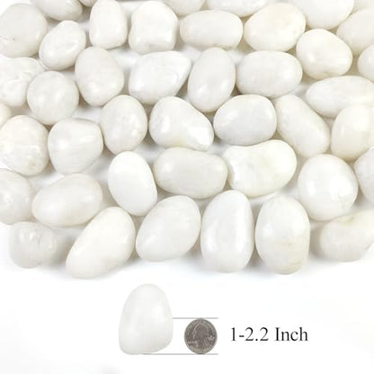 5LB Polished White River Rocks for Plants,1-2.2 Inch Polished Pebbles for Garden Decoration Stones for Landscaping Aquarium Fish Tank Succulents - size: 5LB, style: White