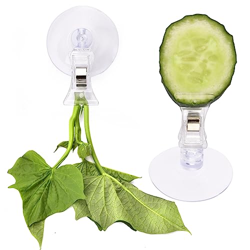 AccEncyc 12Pcs Veggie Clips Aquarium Seaweed Clips Fish Food Holder Wide Mouth Clips Plants Suction Cups Algae Clips for Freshwater and Marine Fish Tank (Plastic) - size: Plastic