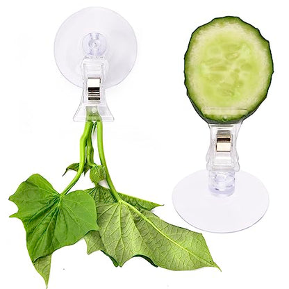 AccEncyc 12Pcs Veggie Clips Aquarium Seaweed Clips Fish Food Holder Wide Mouth Clips Plants Suction Cups Algae Clips for Freshwater and Marine Fish Tank (Plastic) - size: Plastic