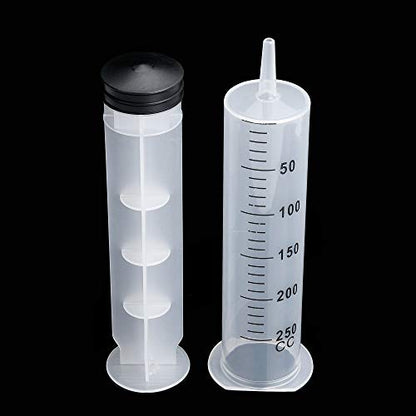 5pcs 250ml Large Syringe with Cap, Individually Sterile Sealed Plastic Syringes with Measurement for Your Scientific Labs, Measuring Liquids, Feed Pets, Oil or Glue Applicator - size: 250 ml