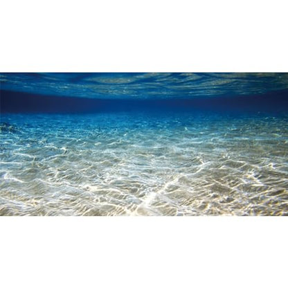 AWERT 36x20 inches Ocean Floor Aquarium Background Underwater Fish Tank Background Undersea Theme Aquarium Background | AWERT Undersea Theme Aquarium Background - size: 36x20in/90x50cm