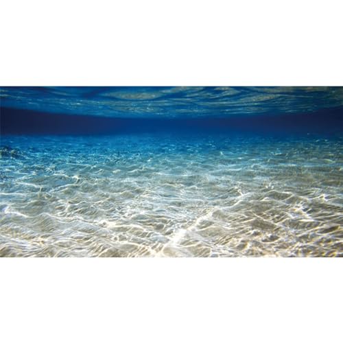 AWERT 36x20 inches Ocean Floor Aquarium Background Underwater Fish Tank Background Undersea Theme Aquarium Background | AWERT Undersea Theme Aquarium Background - size: 36x20in/90x50cm