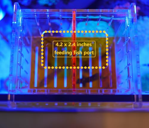 Acrylic Acclimation Box for Saltwater Fish and Reef Coral Quarantine Isolation Box for Aquarium Fish Hydroponic Plant External Breeding Box - size: 7.87inch*6.69inch*7.87inch