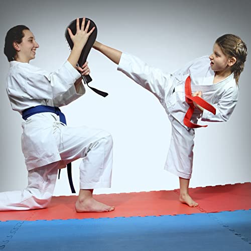 Taekwondo Kick Pads, Pack of 2 Professional TKD Kicking Training Karate Boxing Practice Pad Kickboxing Striking Target Pads Martial Arts Training Equipment for Children and Adults(Black)