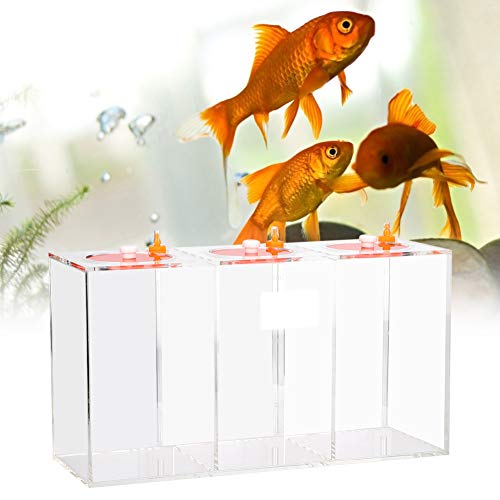 Transparent Acrylic Dosing Pump Store Reservoir Titration Tank Aquarium Sturdy Durable with Scale for Aquarium Reef Tank 2.5L 4.5L Capacity (DT-45 4.5L) - size: DT-45 4.5L