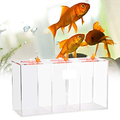 Transparent Acrylic Dosing Pump Store Reservoir Titration Tank Aquarium Sturdy Durable with Scale for Aquarium Reef Tank 2.5L 4.5L Capacity (DT-45 4.5L) - size: DT-45 4.5L