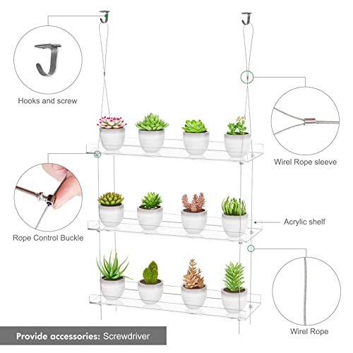 OtNiap Clear Hanging Window Plant Shelves, 2-Pack 3-Tier, 16-Inch Stand | Adjustable Indoor wall plant holder for herbs, microgreens and potted plants. Maximizes window space while displaying plants - size: 2 Pack-3 Tier