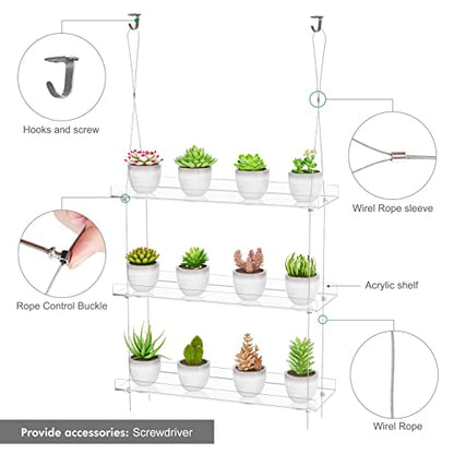 OtNiap Clear Hanging Window Plant Shelves, 2-Pack 3-Tier, 16-Inch Stand | Adjustable Indoor wall plant holder for herbs, microgreens and potted plants. Maximizes window space while displaying plants - size: 2 Pack-3 Tier
