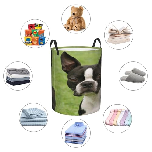 Boston Terrier Round Waterproof Oxford Cloth Laundry Basket Multi-Purpose Storage Basket Toys Books Clothes Storage Basket - color: Black 5