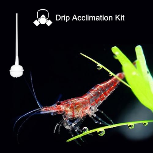 Drip Acclimation Kit for Saltwater and Freshwater Aquariums, Fish Tanks, Ensure Smooth Transition for Coral, Shrimp, Marine Fish, Navigation System Live Koi Fish, Plant Decor Security