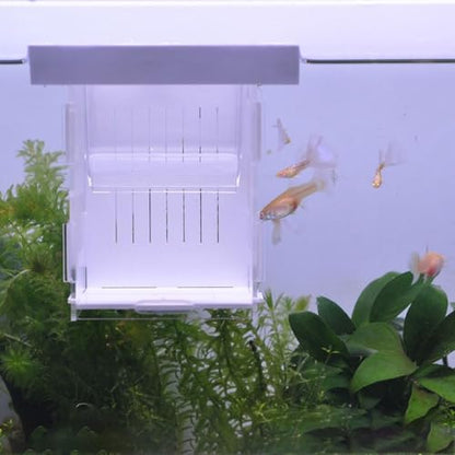 Isolation Box, Breeder Box for Fish Tank Isolation Aquarium Separator Floating Hatchery Incubator for Aggressive or Injured Fish(White-Style D) - style: white-Style D