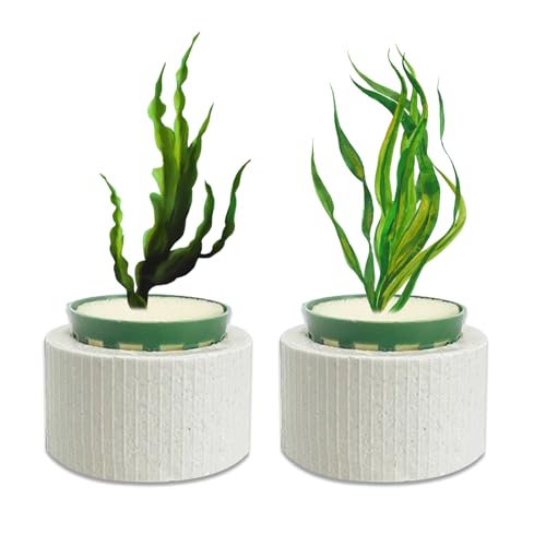 2 Pack Aquarium Plant Weights Ceramic Fish Tank Plant Holder Ideal for Live Plants Anti Floating Aquatic Plant Ring Anchors Keep Plants in Place Aquarium Decoration Accessories