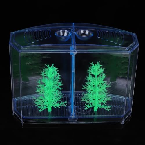 Mini Fish Breeding Box Acrylic Isolation Tank with Dirt Groove for Aquarium Fish Observation and Protection (Double) - size: Double