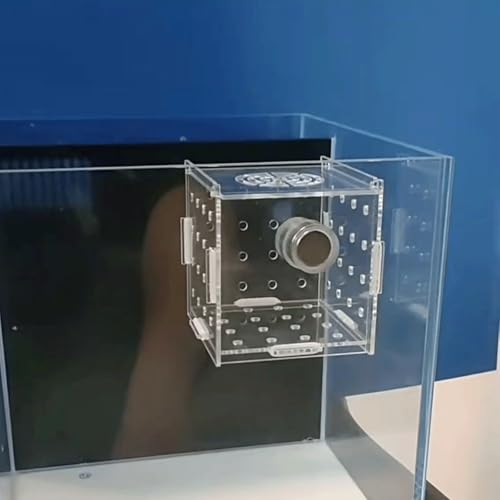Acrylic Fish Breeding Box, Magnetic Fish Isolation Box Fish Separator for Aquarium Hatchery Incubator Tank for Baby Fishes Shrimp Clownfish Guppy (Medium, Normal Magnetic Model) - size: Medium, Normal magnetic model