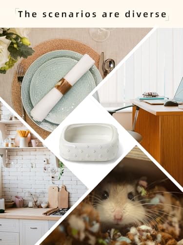 2-Pcs Ceramic Reptile Food Bowl, Mini Reptile Feeder (Farmhouse White) | Stable Base Design, Smooth Surface for Easy Cleaning, Safe Feeding Solution, Compact Habitat Accessory, Everyday Use - color: Farmhouse White