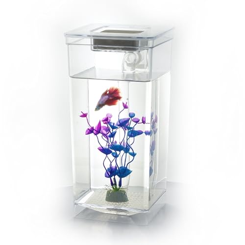 My 1st Fish Tank™ : Gen 2, Mini Fish Tank Aquarium Starter Kit 1 gal, Professional for Betta, Easny Maintain, Self Cleaning System-Only Add Water, Beautiful Color Changing LED Light, Color Box