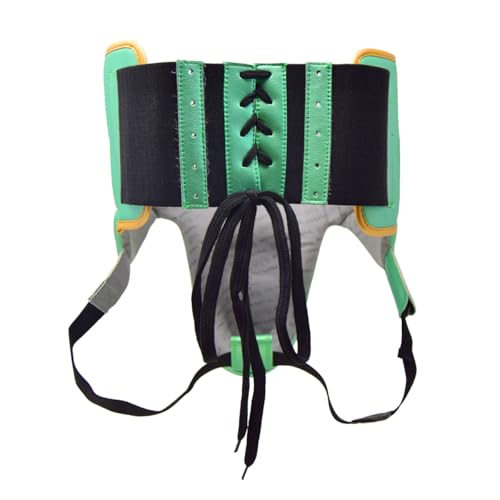RIVAL Boxing RNFL100 Professional No-Foul Groin Protector with Laces, Dual Waist Straps, Ultra-Lightweight Construction, and Super-Rich Microfibre PU - color: Green/Gold, size: Medium