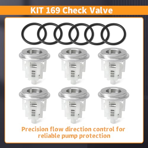 6Pcs KIT 169 Check Valve Replacement for General Pump TSF66 TSF1819 TSF2221 TSF2021 TSF2421 TSF2219 Series for Interpump (GP), Replace K169