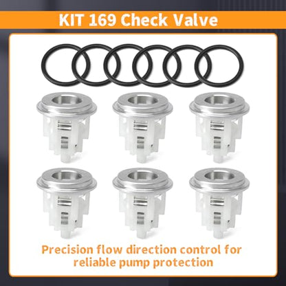 6Pcs KIT 169 Check Valve Replacement for General Pump TSF66 TSF1819 TSF2221 TSF2021 TSF2421 TSF2219 Series for Interpump (GP), Replace K169