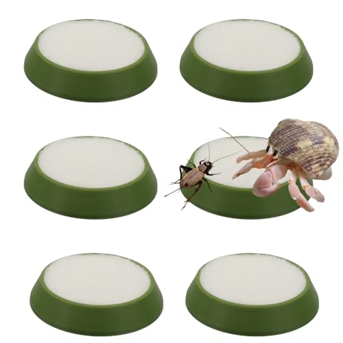 6 Pcs Cricket Water Bowl Plastic Reusable Feeding Dish Mini Bowl with 6 Pcs Sponge for Hermit Crab Cricket Scorpion Ant Isopod Invertebrate (Green)