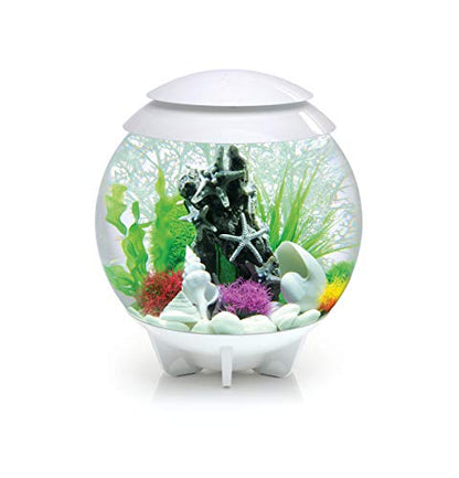 BiOrb 46133.0 Sea Shell Set 3 White Aquariums - color: White