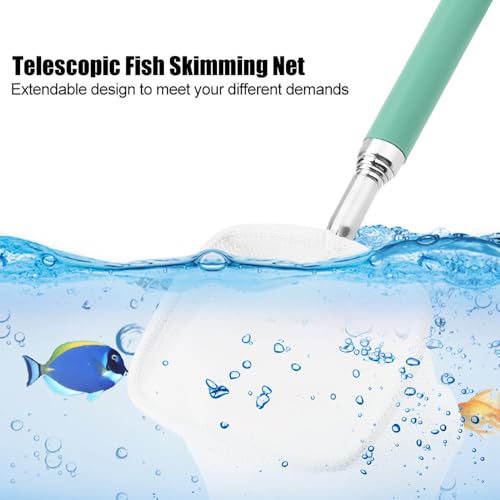 Green/Red Square Round Metal Aquarium Fish Net Mini Size Extendable Telescopic Fish Shrimp Landing Net Aquarium Fish Tank Tool - style: Green Square