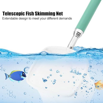 Green/Red Square Round Metal Aquarium Fish Net Mini Size Extendable Telescopic Fish Shrimp Landing Net Aquarium Fish Tank Tool - style: Green Square