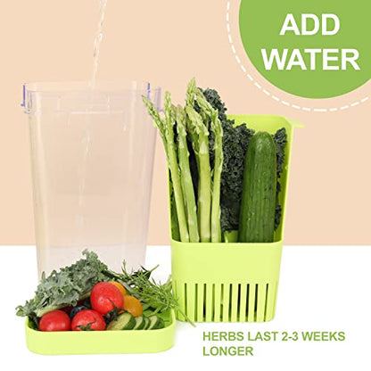 LUVCOSY Herb Keeper, BPA-Free Plastic Herb Saver with an Inner Basket for Cilantro, Mint, Parsley, and Asparagus, Keeps Fresh Herbs for 3 Times Longer,1Pcs, Green - color: Herb Keeper - Green